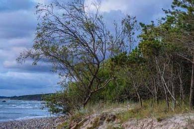 全国越野滑雪锦标赛黑龙江实现包揽，越野滑雪全国卷