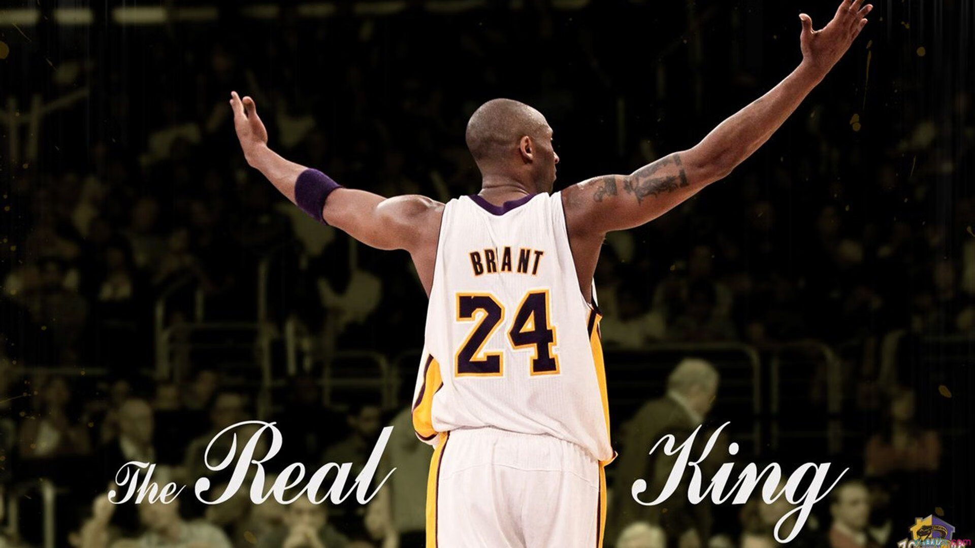 广东队防守端表现稳健有效限制对方攻势,广东队的打法